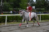 Immagine <b>REG_9231</b>